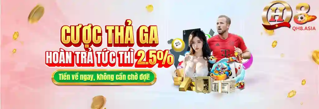 Tin Tức qh8